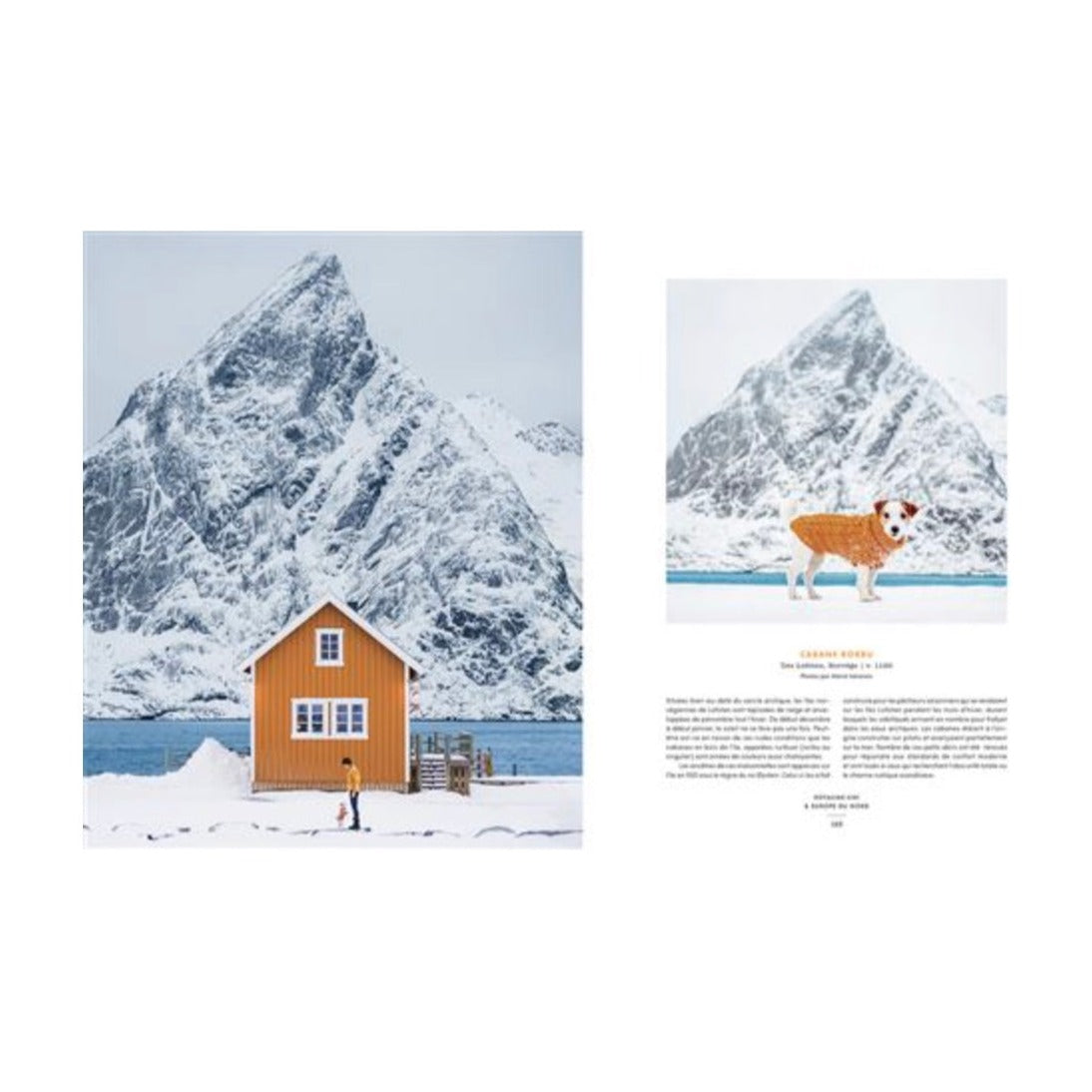 Livre accidentally wes anderson Wally Koval