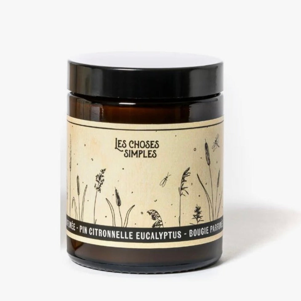 Bougie Pin Citronelle Eucalyptus