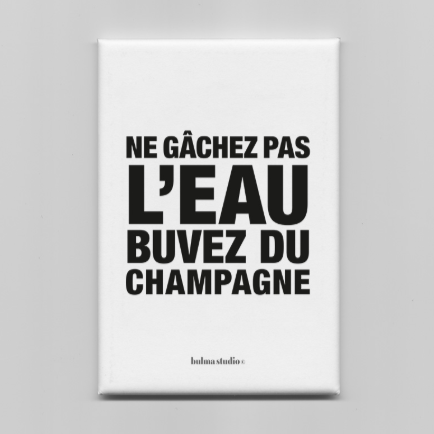 Magnet Ne gâchez pas l'eau buvez du champagne