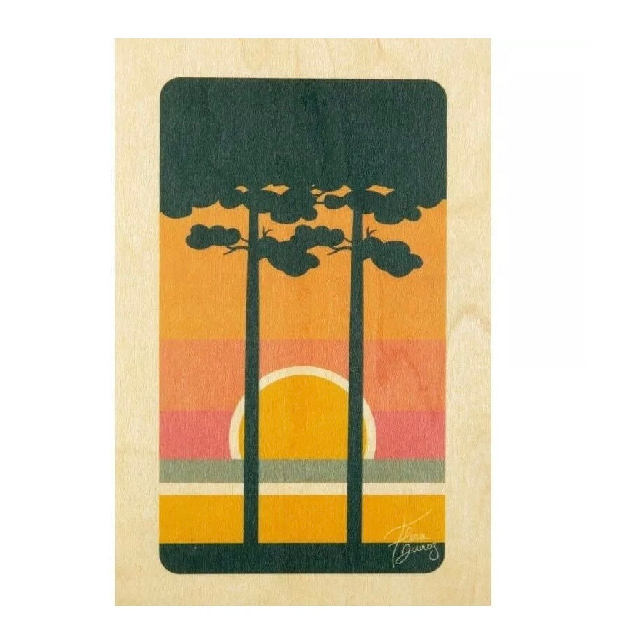Carte postale Fôret Landes