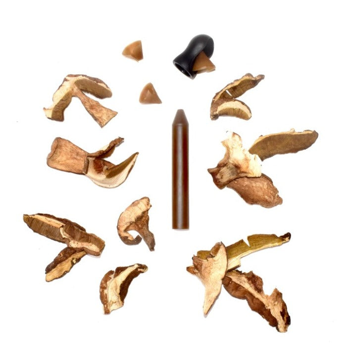 Coffret assaisonnement à tailler - Cèpe