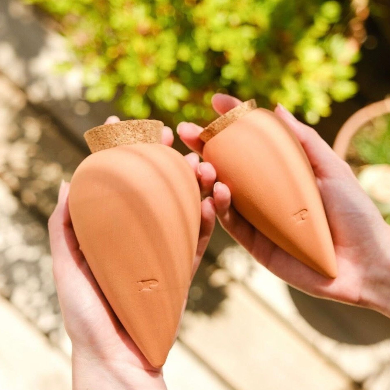 Mini Olla hydratante x3