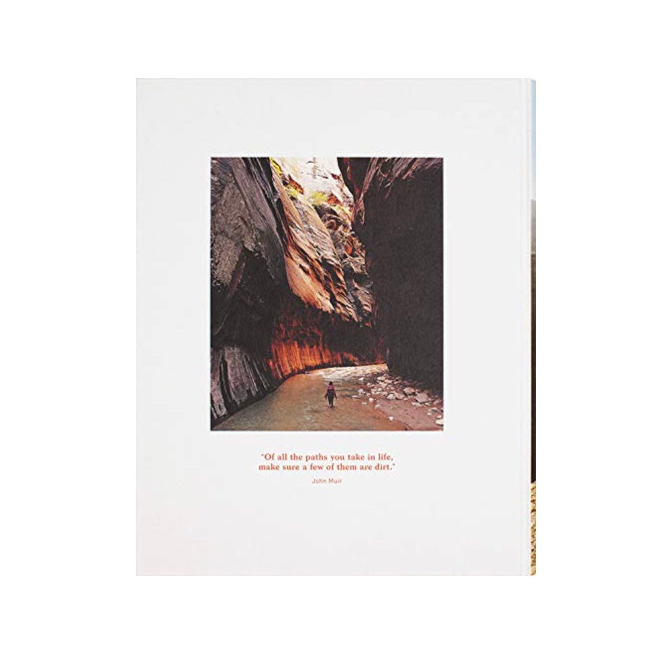 Livre Wanderlust