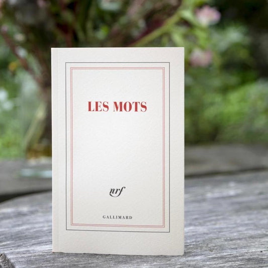 Carnet " Les mots "
