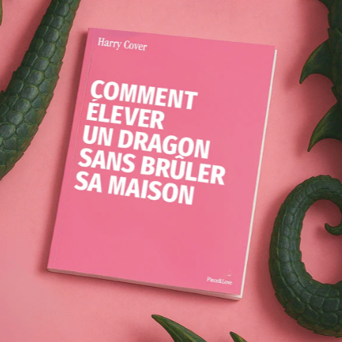 piece & love carnet dragon