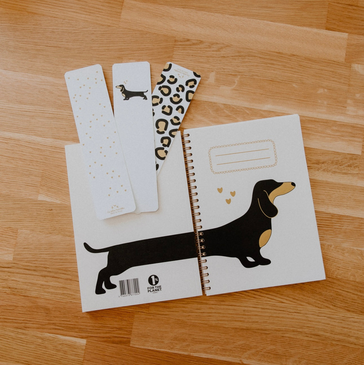 Carnet spirales Les petites hirondelles La cachette de M