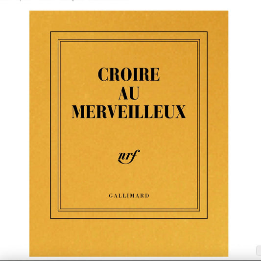 Carnet de poche " Croire au merveilleux "