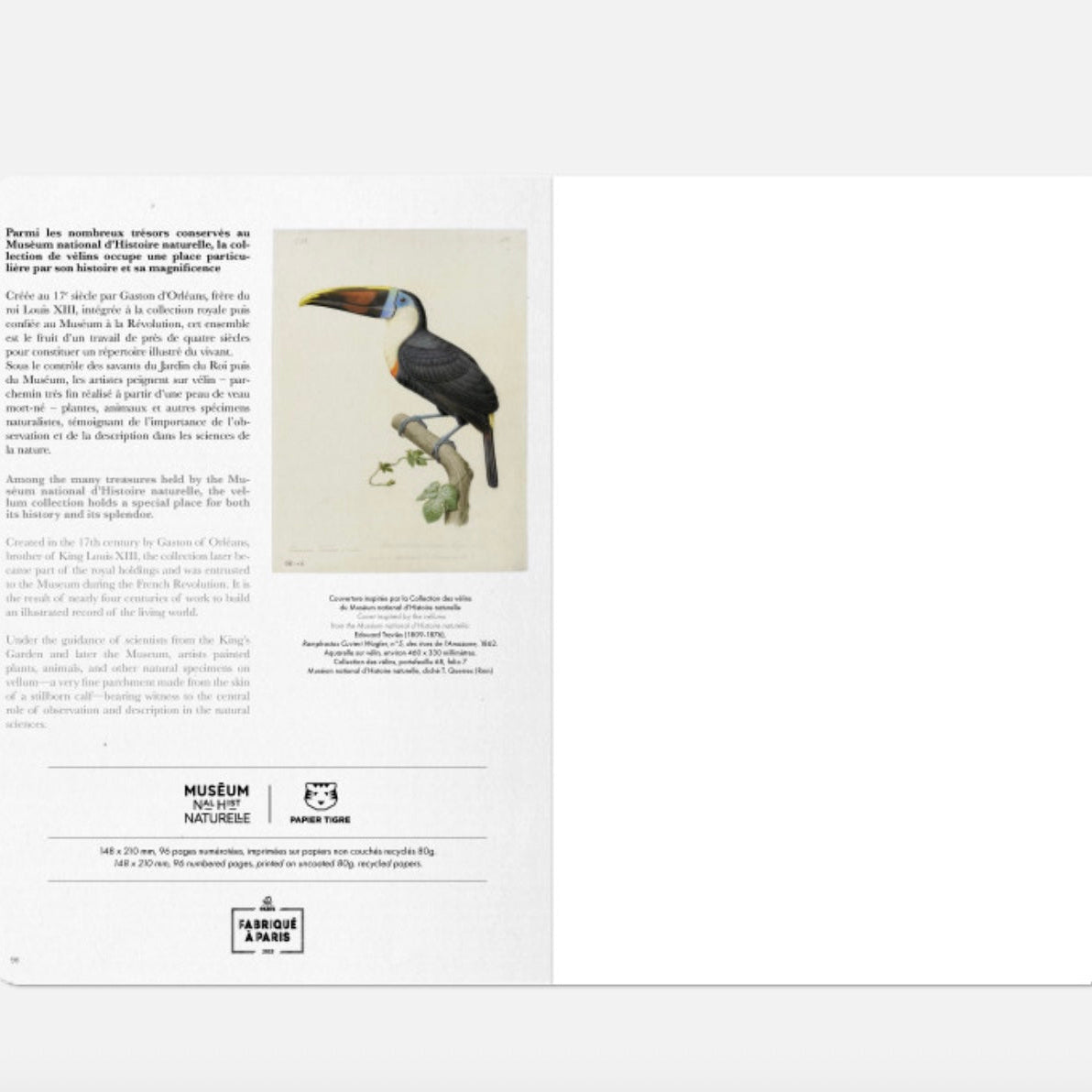 Carnet A5 Toucan