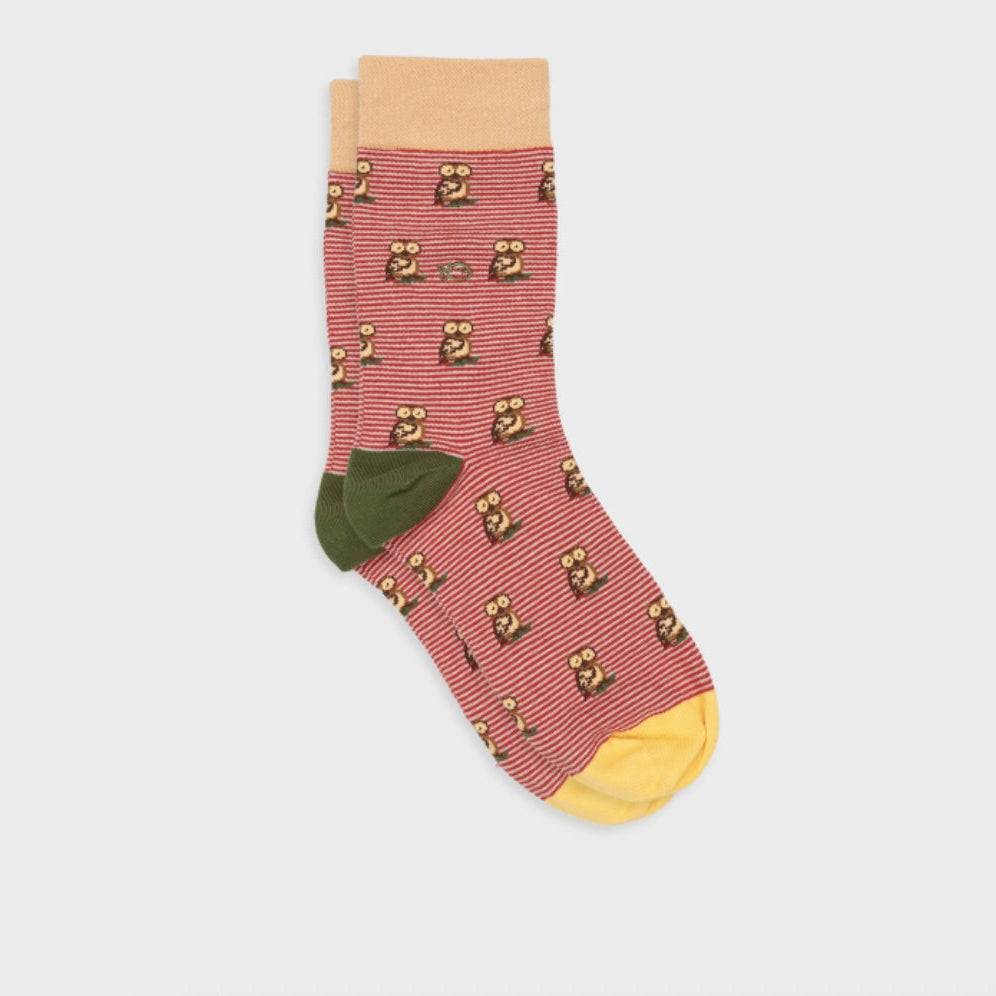 Chaussettes Animaux Hibou