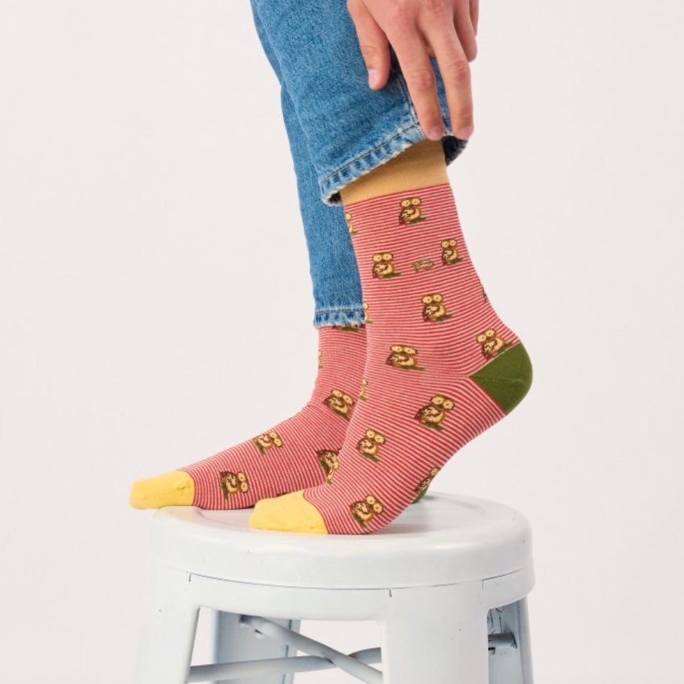 Chaussettes Animaux Hibou