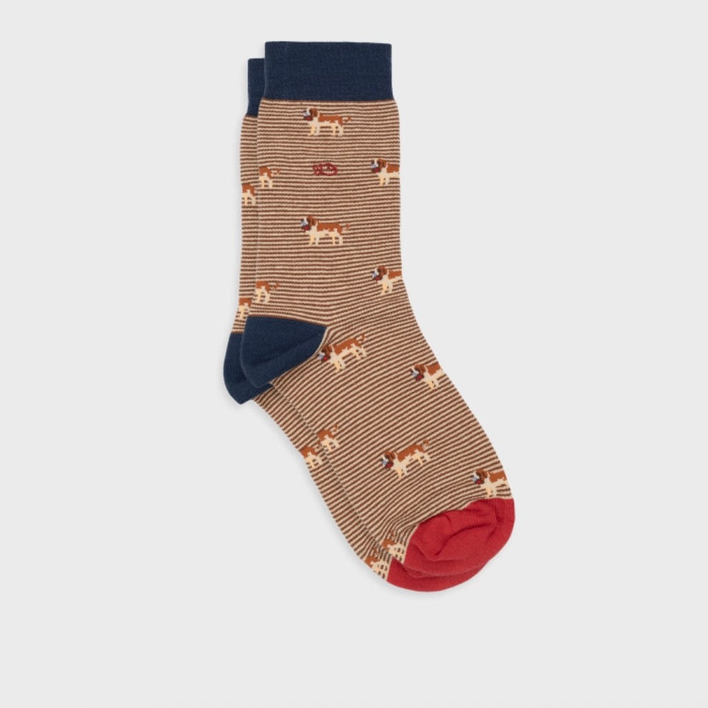 Chaussettes Animaux Saint Bernard