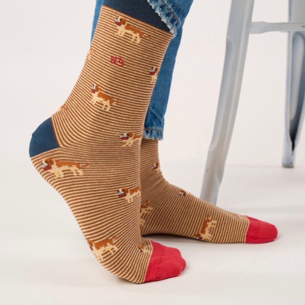 Chaussettes Animaux Saint Bernard