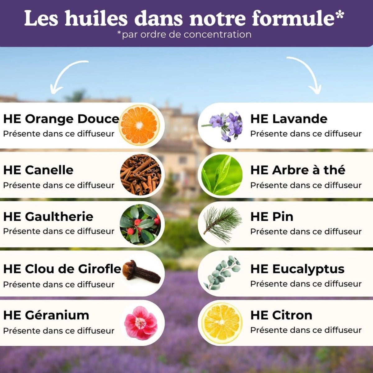Diffuseur de parfum d’ambiance naturel Neutraliz – 18 ml