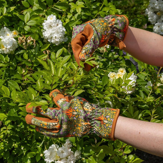 Gants jardinage