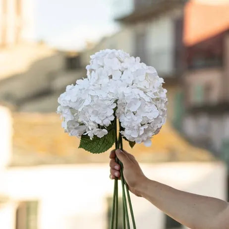 Fleur papier hortensia blanc