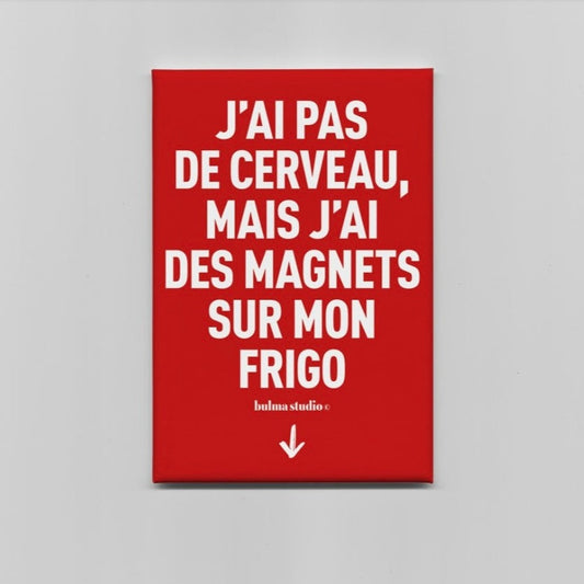 Magnet J'ai pas de cerveau mais j'ai des magnets sur mon frigo