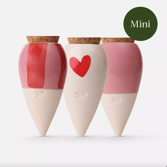 Mini Olla hydratante x3