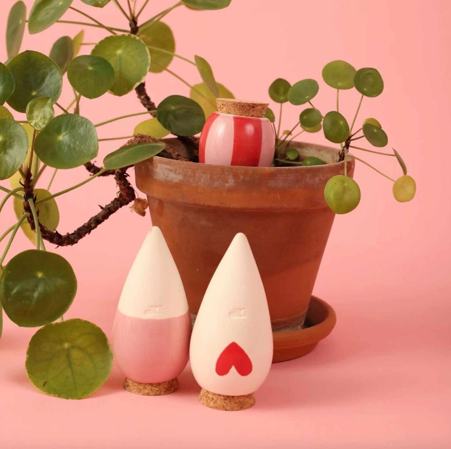 Mini Olla hydratante x3