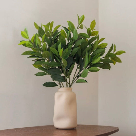 Ruscus