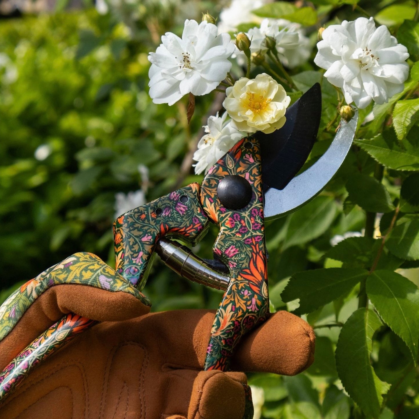 Secateurs