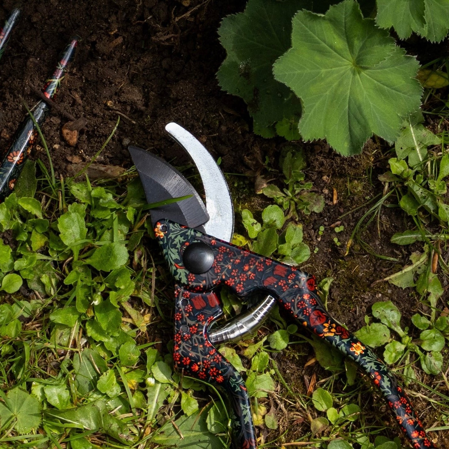 Secateurs