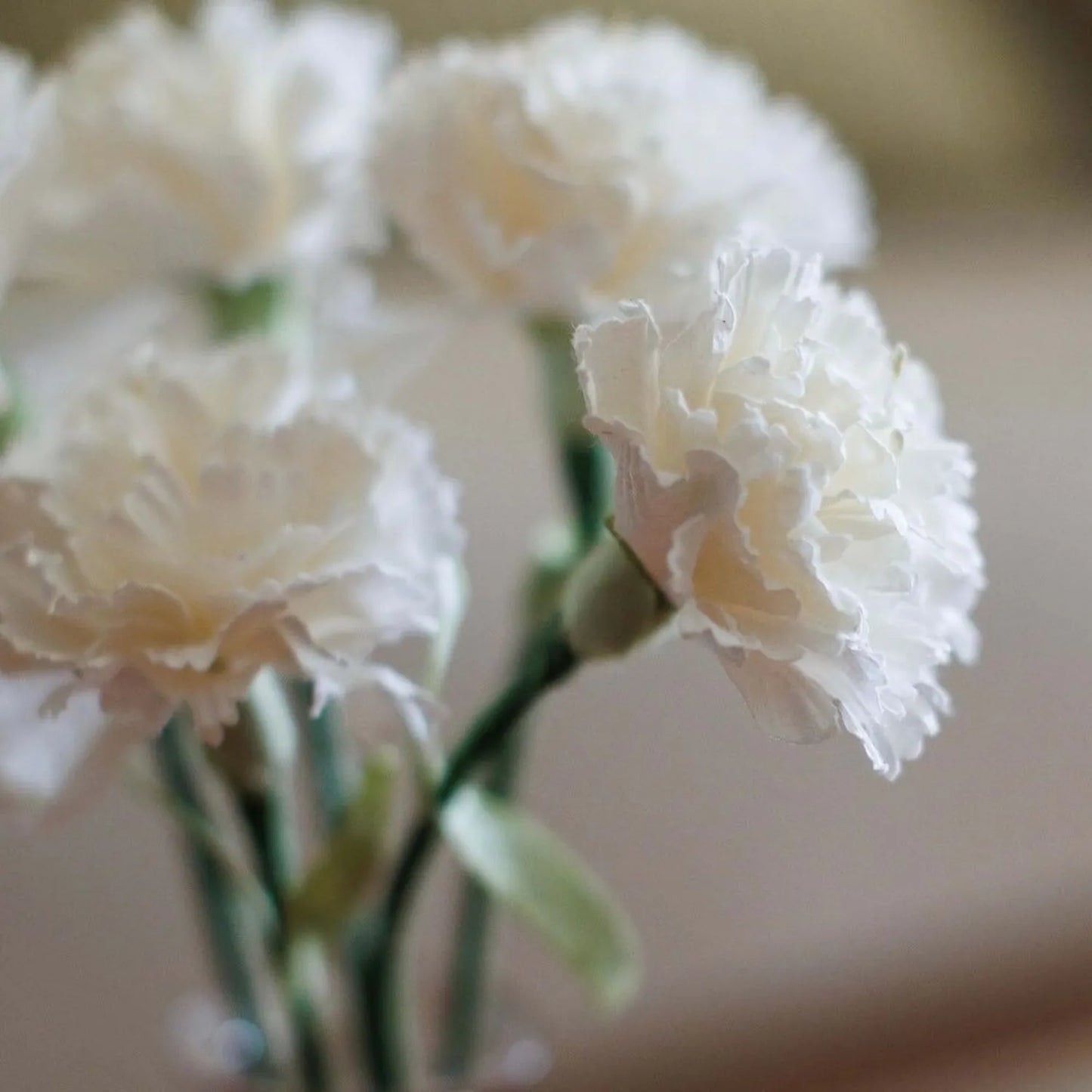 Fleur en papier Œillet blanc