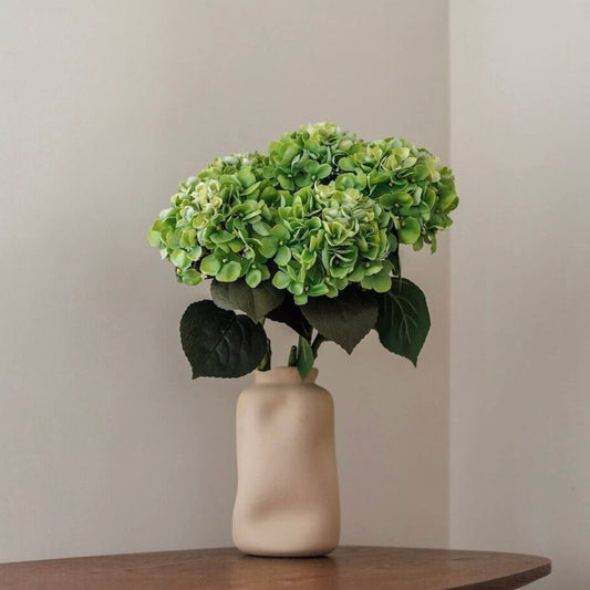 Fleur hortensia verte