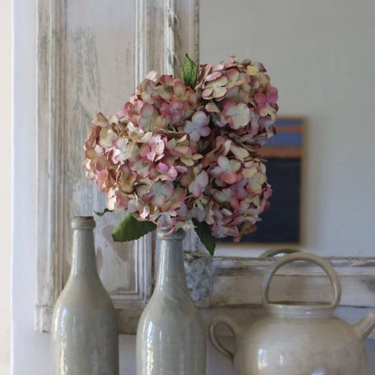 Fleur hortensia rose