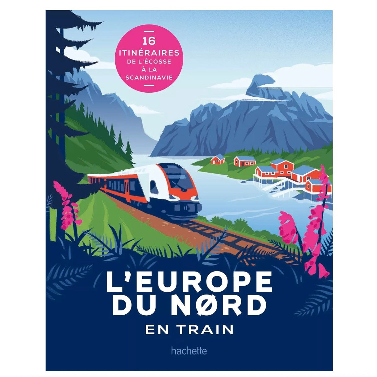Livre l'Europe du nord en train
